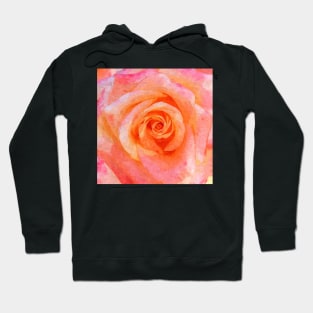 Soft Pink Rose Shabby-chic Flower Watercolor Hoodie